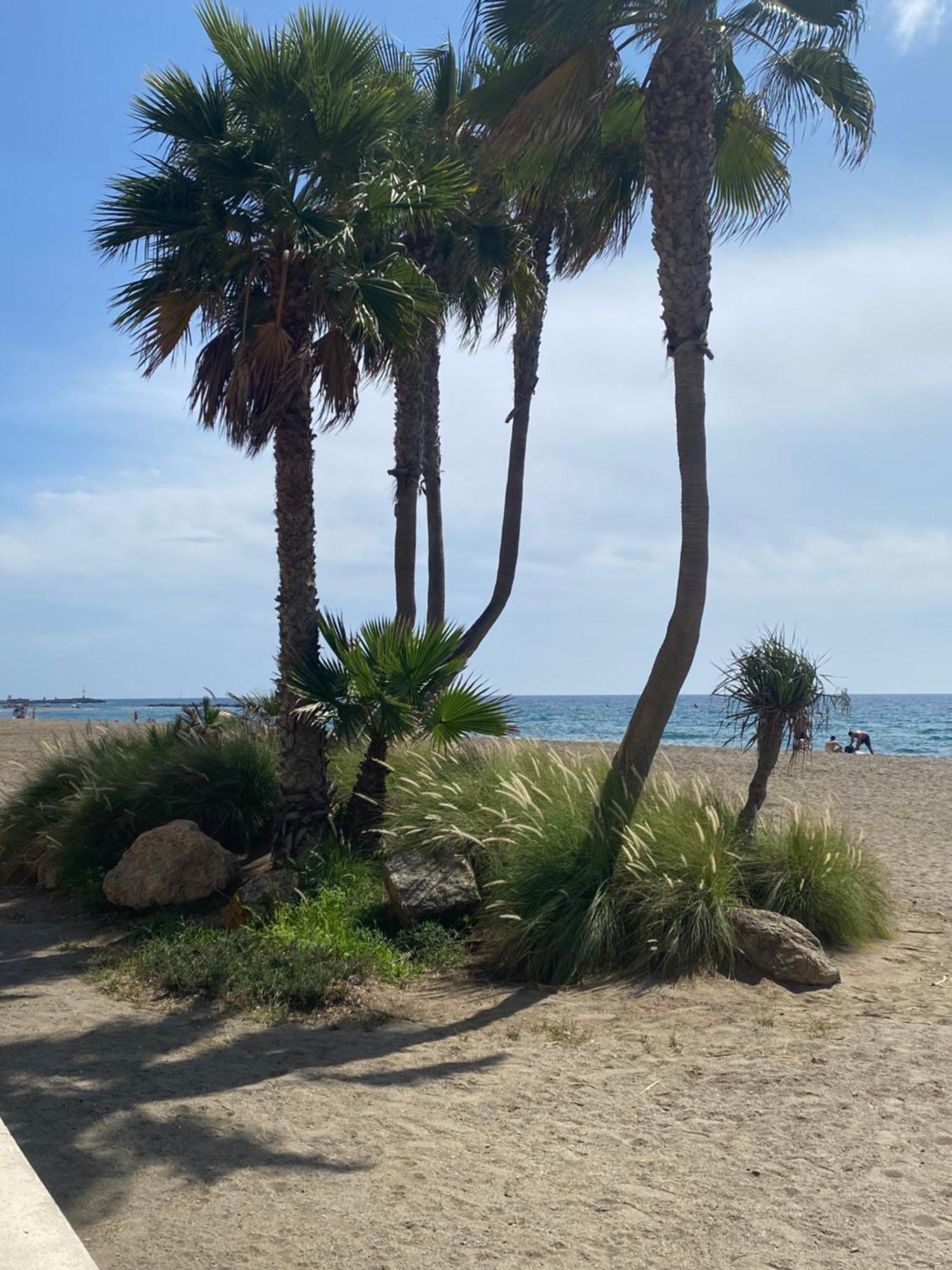 Almeria Playa Zapillo Exterior foto